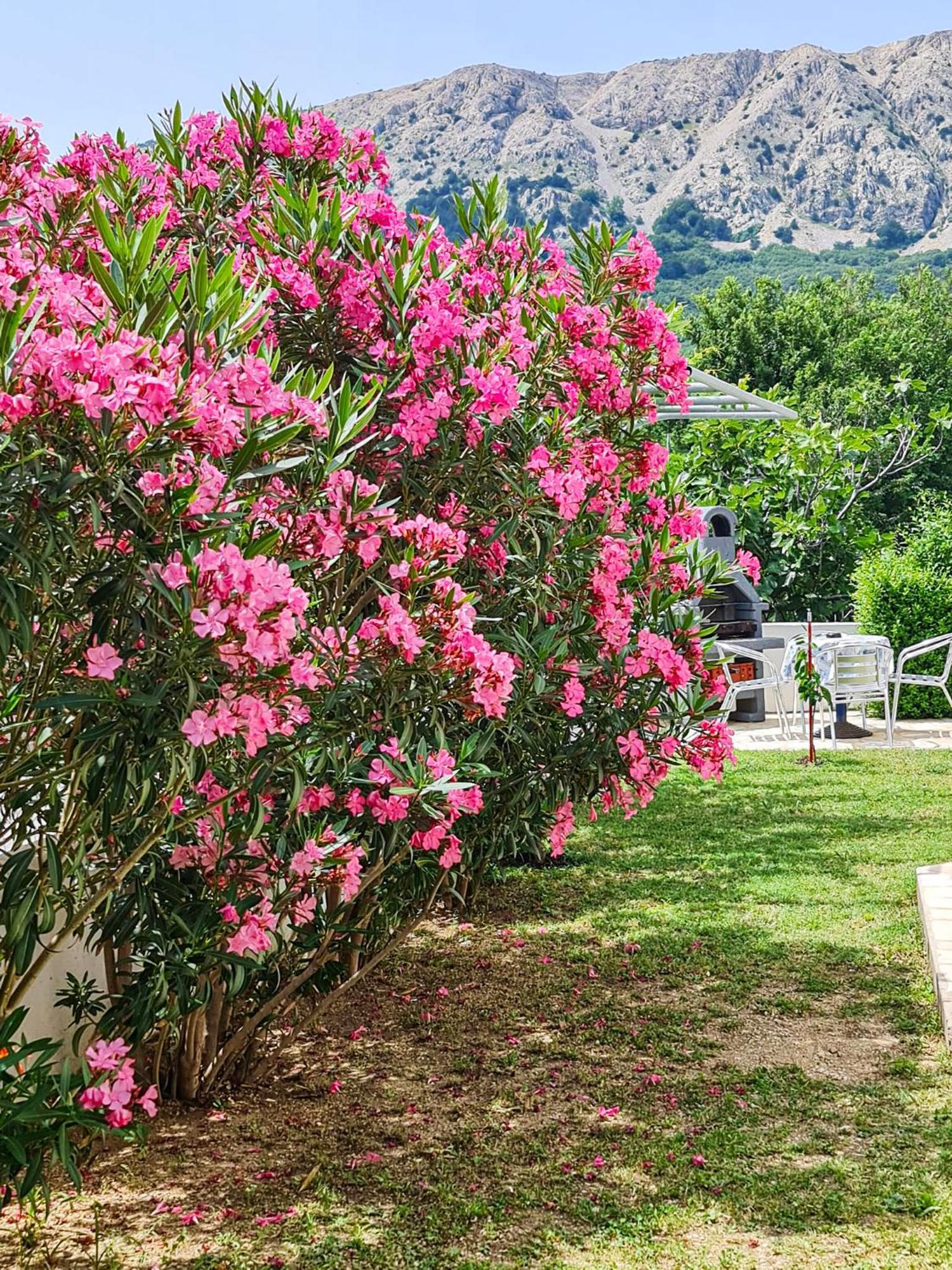 Benkovic Appartement Baška